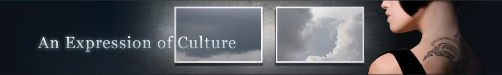 Web design services