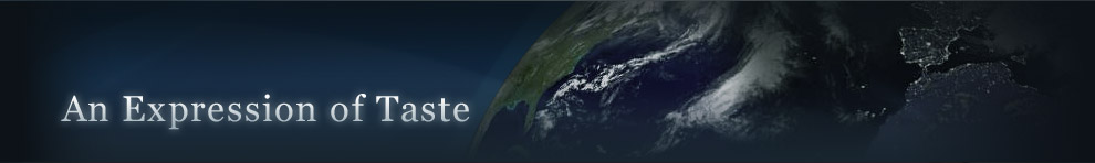 Web design services