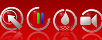 PDP Marina website design